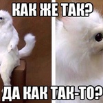 affeelya