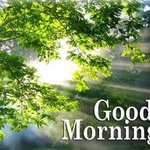 rajeshgroupof
