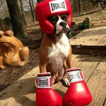 bigdean41
