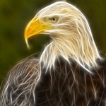 ragingeagle96