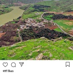 hesamifarshid