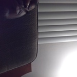 joe31blacky