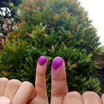 saputra dwipa
