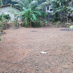i.lasantha@yahoo.com