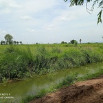 ravi77307