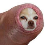 michan69