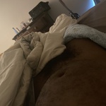 willstiff