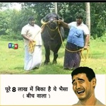 lund mera