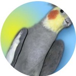 kominik27