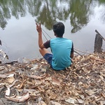 payle555