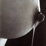 la délicieuse insolence des bouts de seins surexcités
