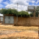 tlaoni