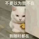 qazyincheng520