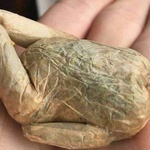 luisterf12