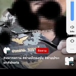 nattapon_ko