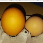 johnflickr2