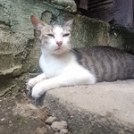 raymonddoong