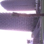 nizam30572
