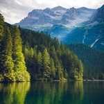ashiwne72