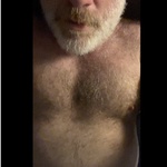 pervbear