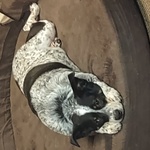 marvinrulz