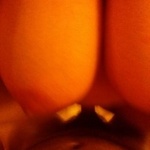 tesse