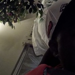 drahabit24