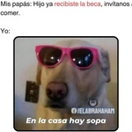 mypqwert