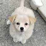 我是李滟泽