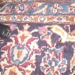dvb0919