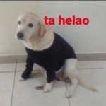 squanchi