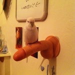 cuomb1