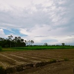santanu7515
