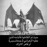 qswh