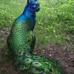 rafikatian
