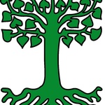 zaviadgamsa