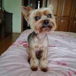 frolll@yahoo.com