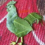 trrhygvj