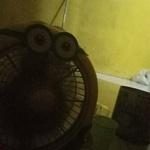 nikokahsgsjah