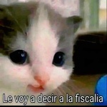 diego46289
