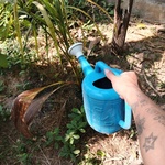 tulazaa