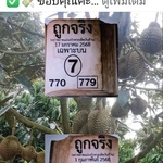 kamonchai