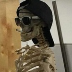 zfboom