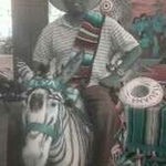 slylee1964