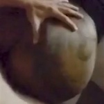 bwc10inch