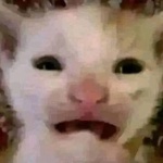 meisama