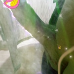 tinkeriop