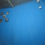 kusuma367