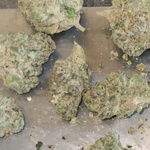 drnurselounge