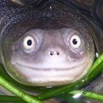 anubishunter7